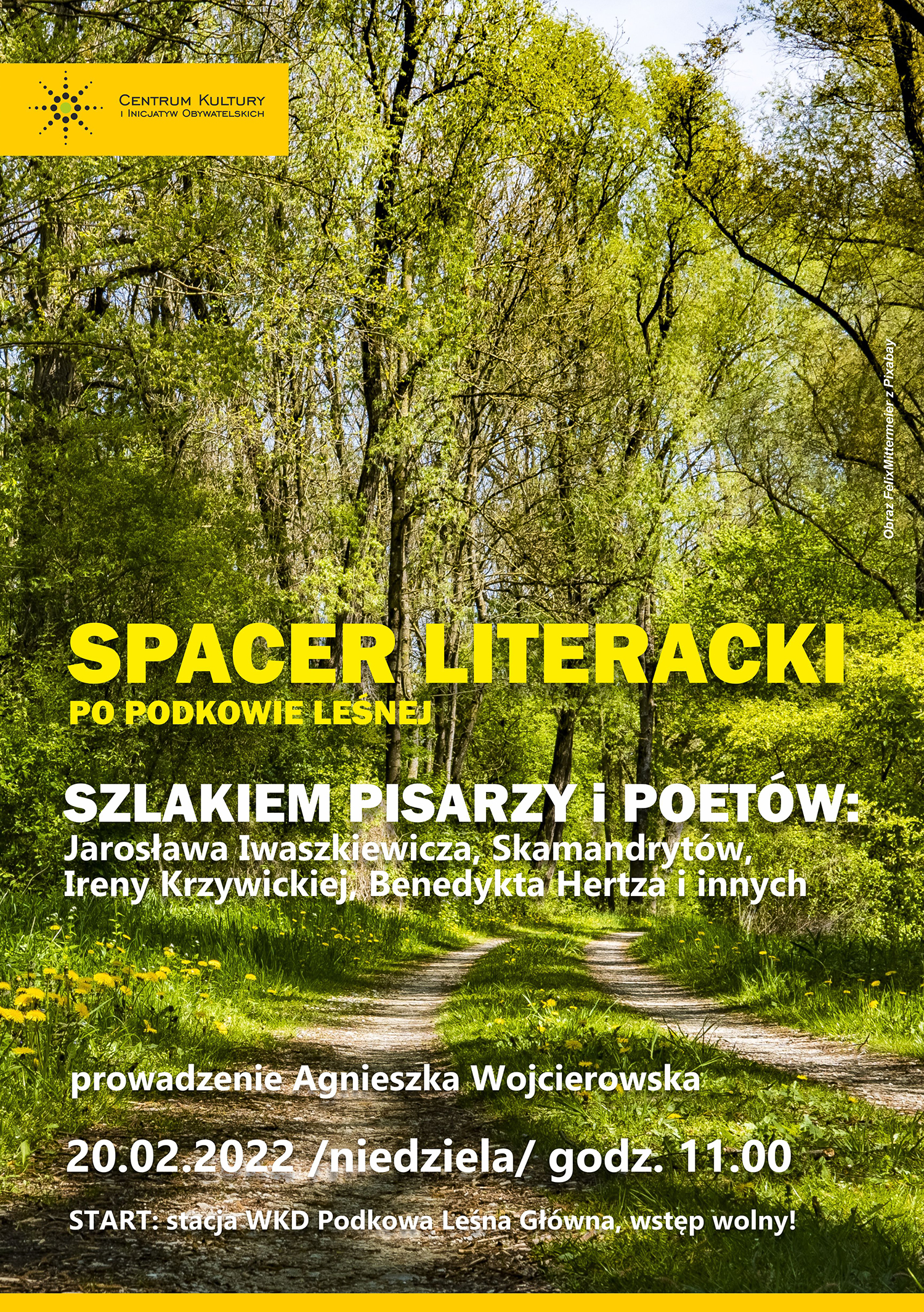 You are currently viewing Spacer literacki po Podkowie Leśnej