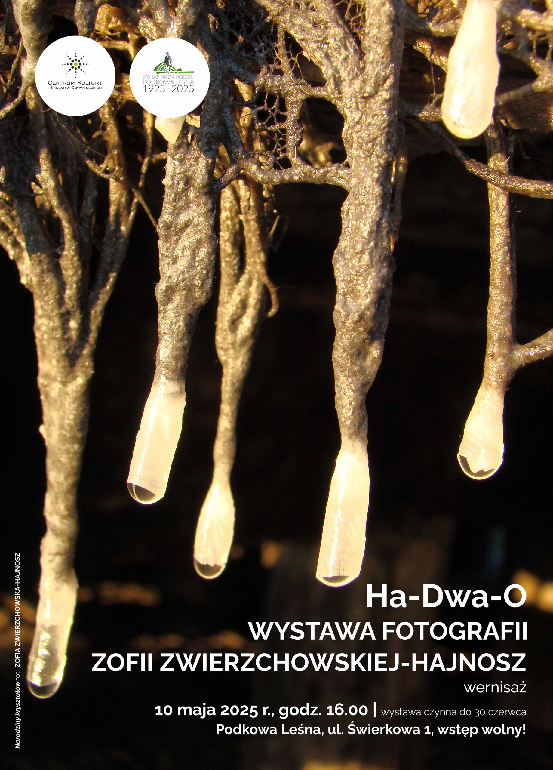 You are currently viewing Ha-Dwa-O – wystawa fotografii Zofii Zwierzchowskiej-Hajnosz