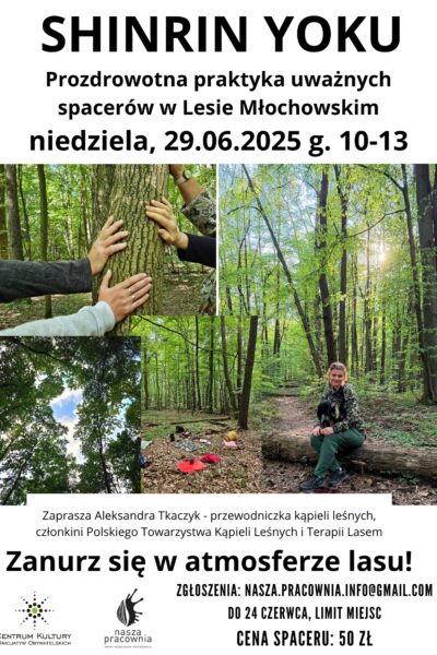 Shinrin yoku – uważny spacer po Lesie Młochowskim