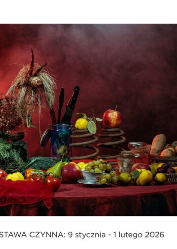 Wojciech Kopacewicz – fotografia