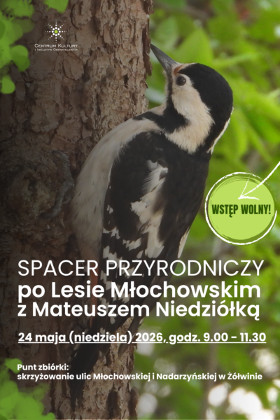 Spacer przyrodniczy po Lesie Młochowskim