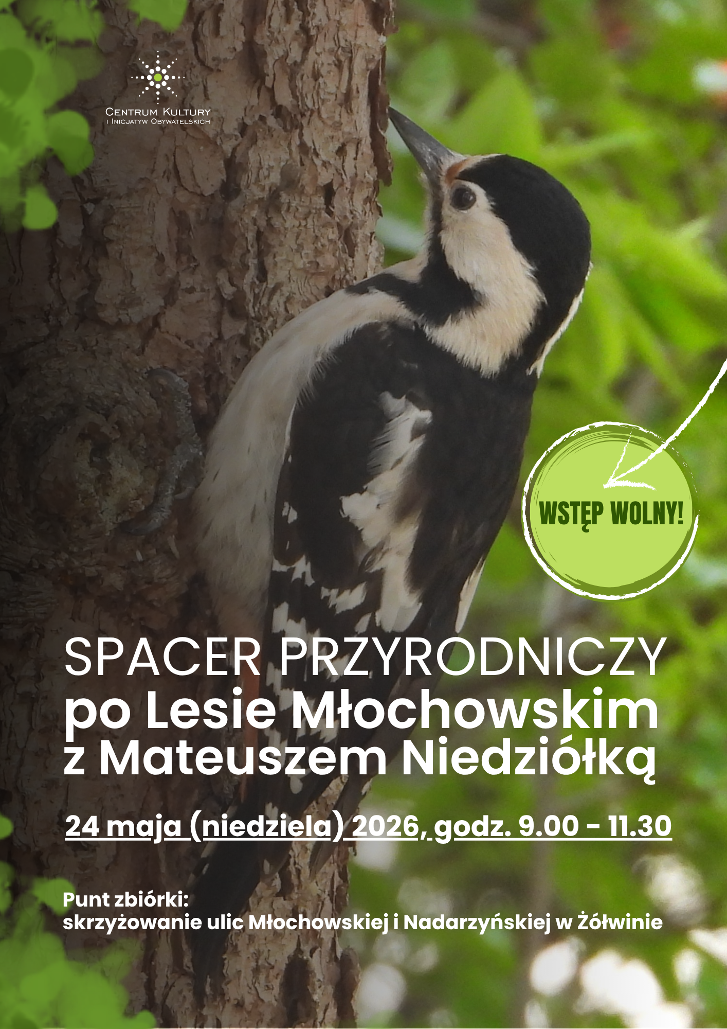 You are currently viewing Spacer przyrodniczy po Lesie Młochowskim