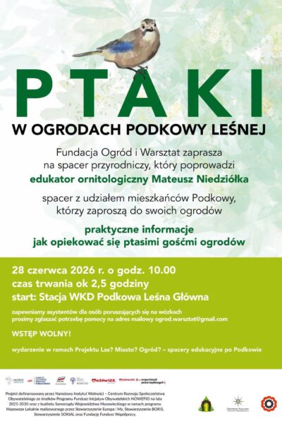 Ptaki w ogrodach Podkowy Leśnej – spacer przyrodniczy