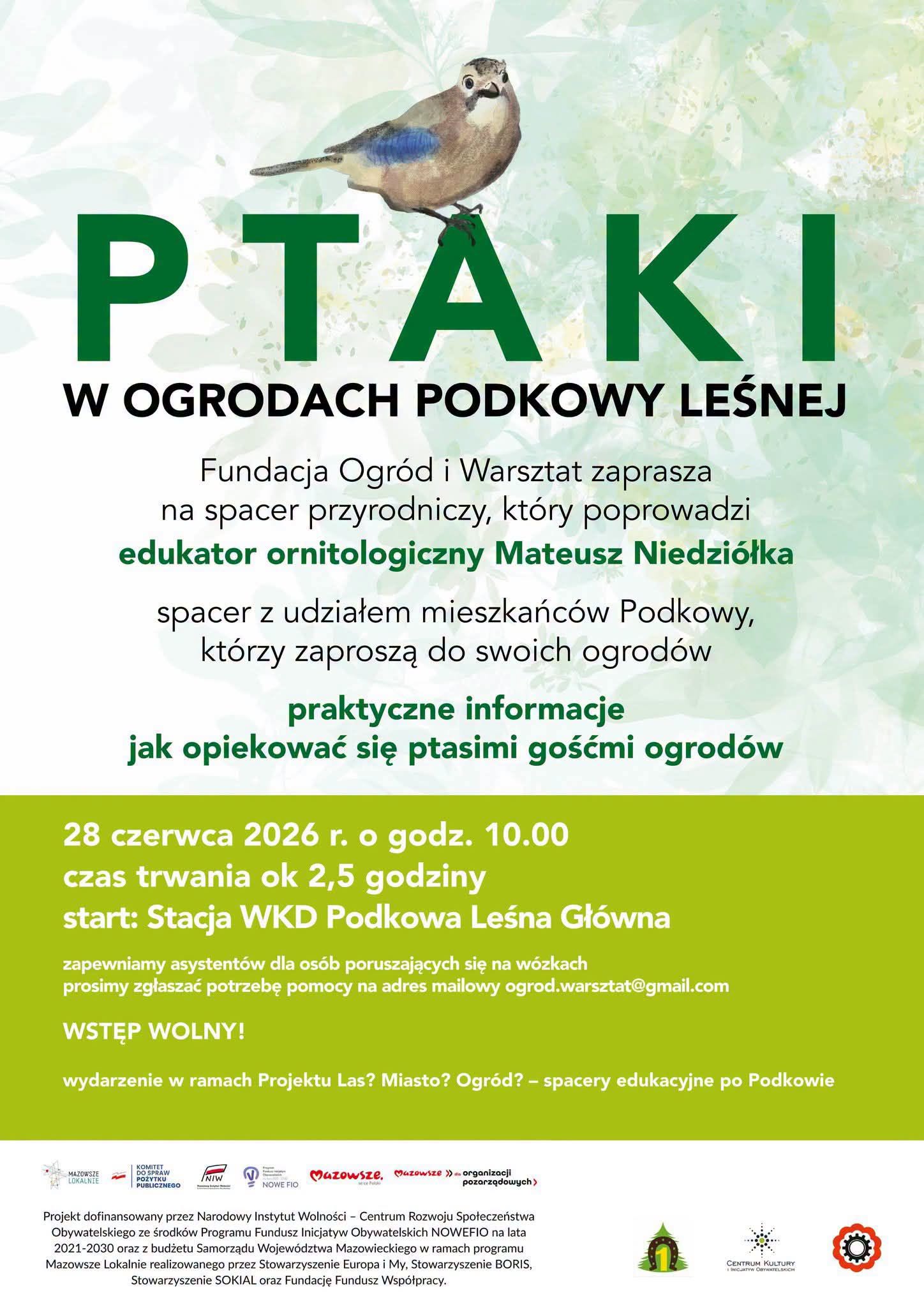 You are currently viewing Ptaki w ogrodach Podkowy Leśnej – spacer przyrodniczy