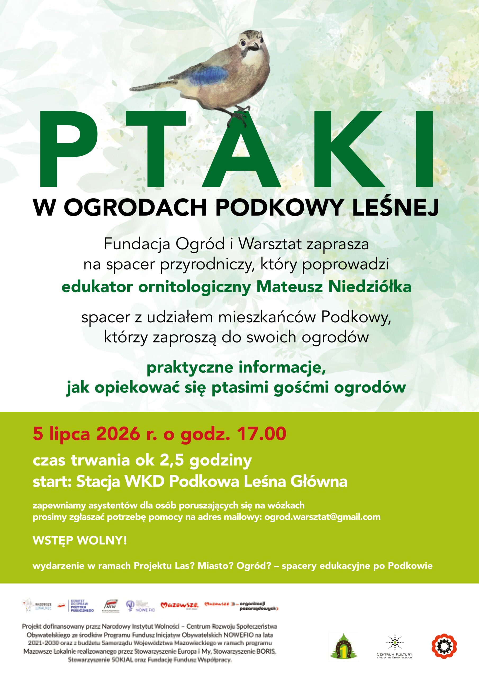 You are currently viewing Ptaki w ogrodach Podkowy Leśnej – spacer przyrodniczy