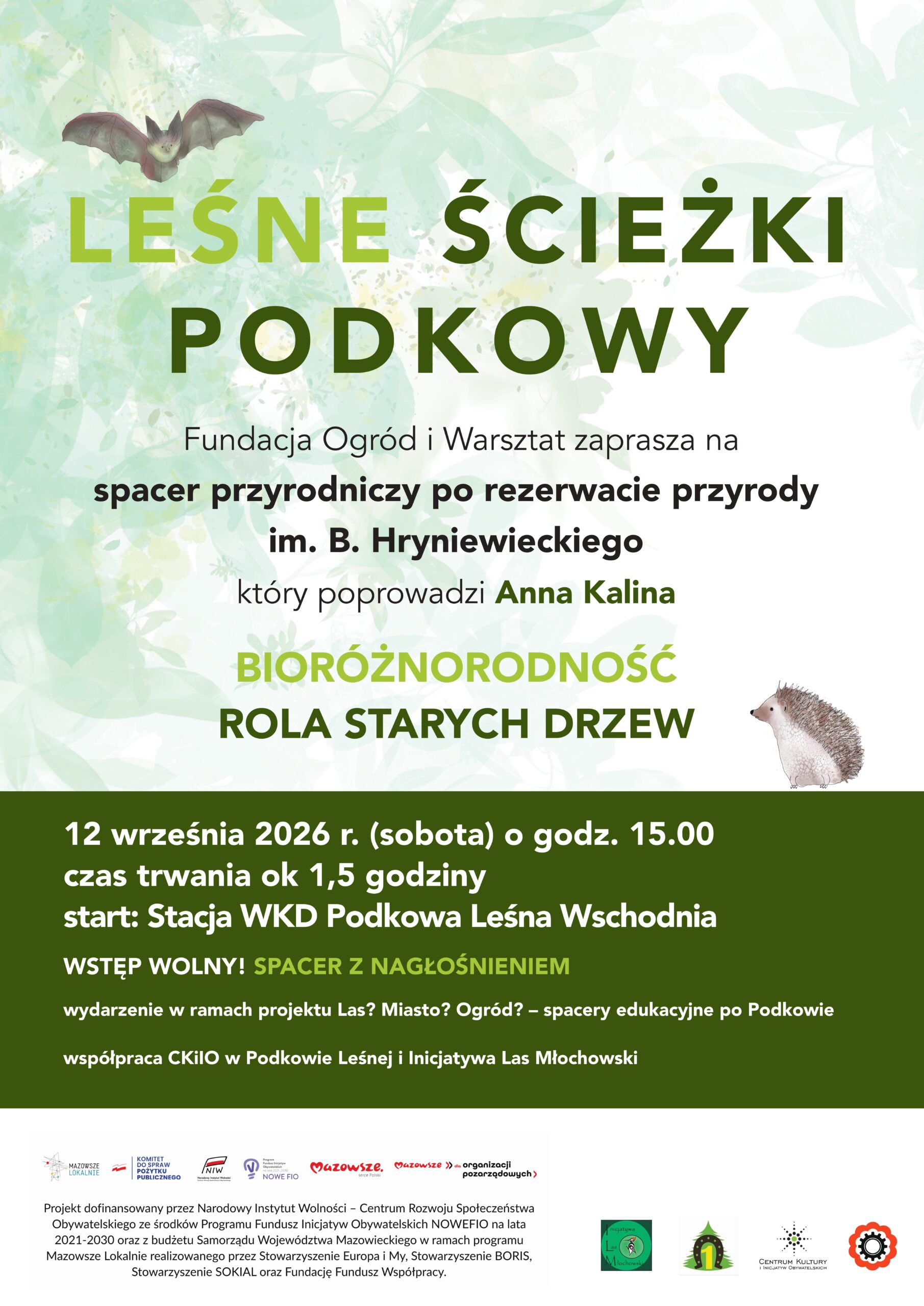 You are currently viewing Leśne ścieżki Podkowy – spacer przyrodniczy